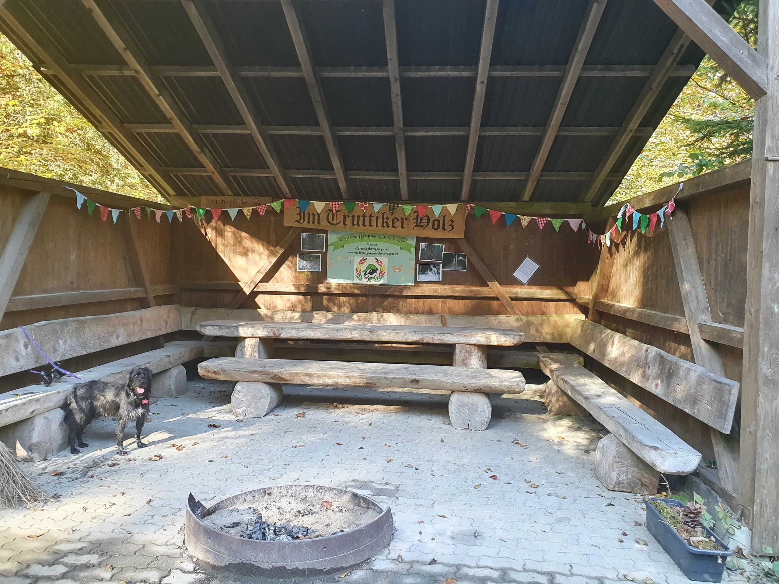 Waldspielgruppe Impression 10