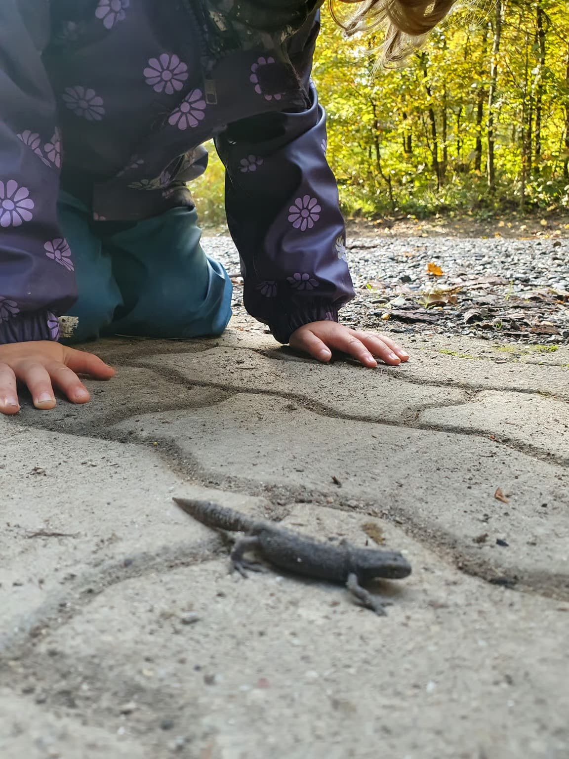 Waldspielgruppe Impression 12