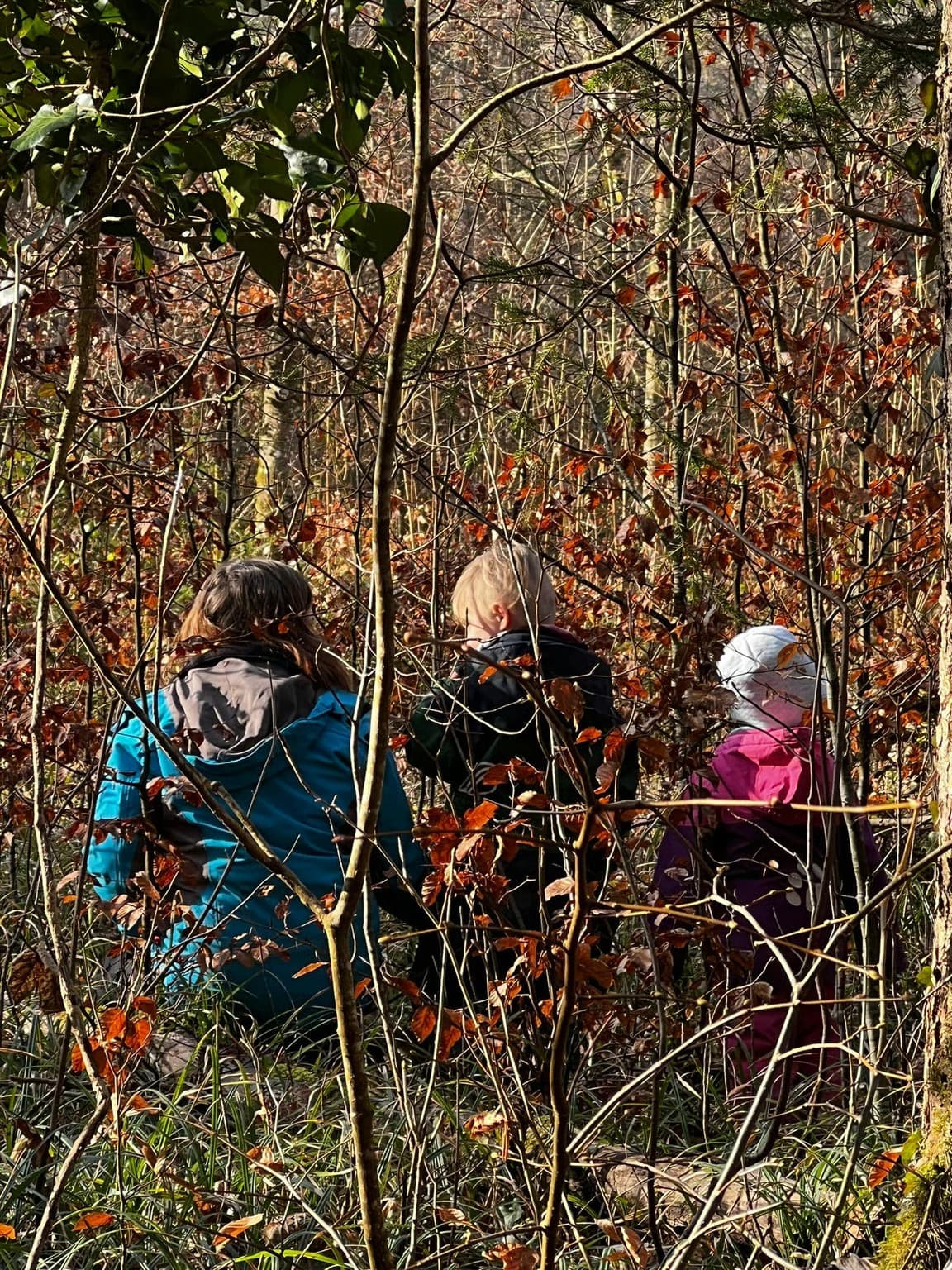 Waldspielgruppe Impression 15