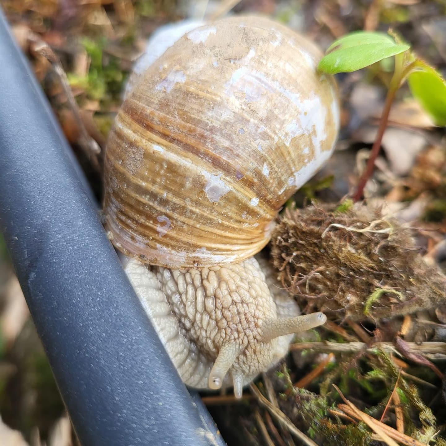 Waldspielgruppe Impression 29