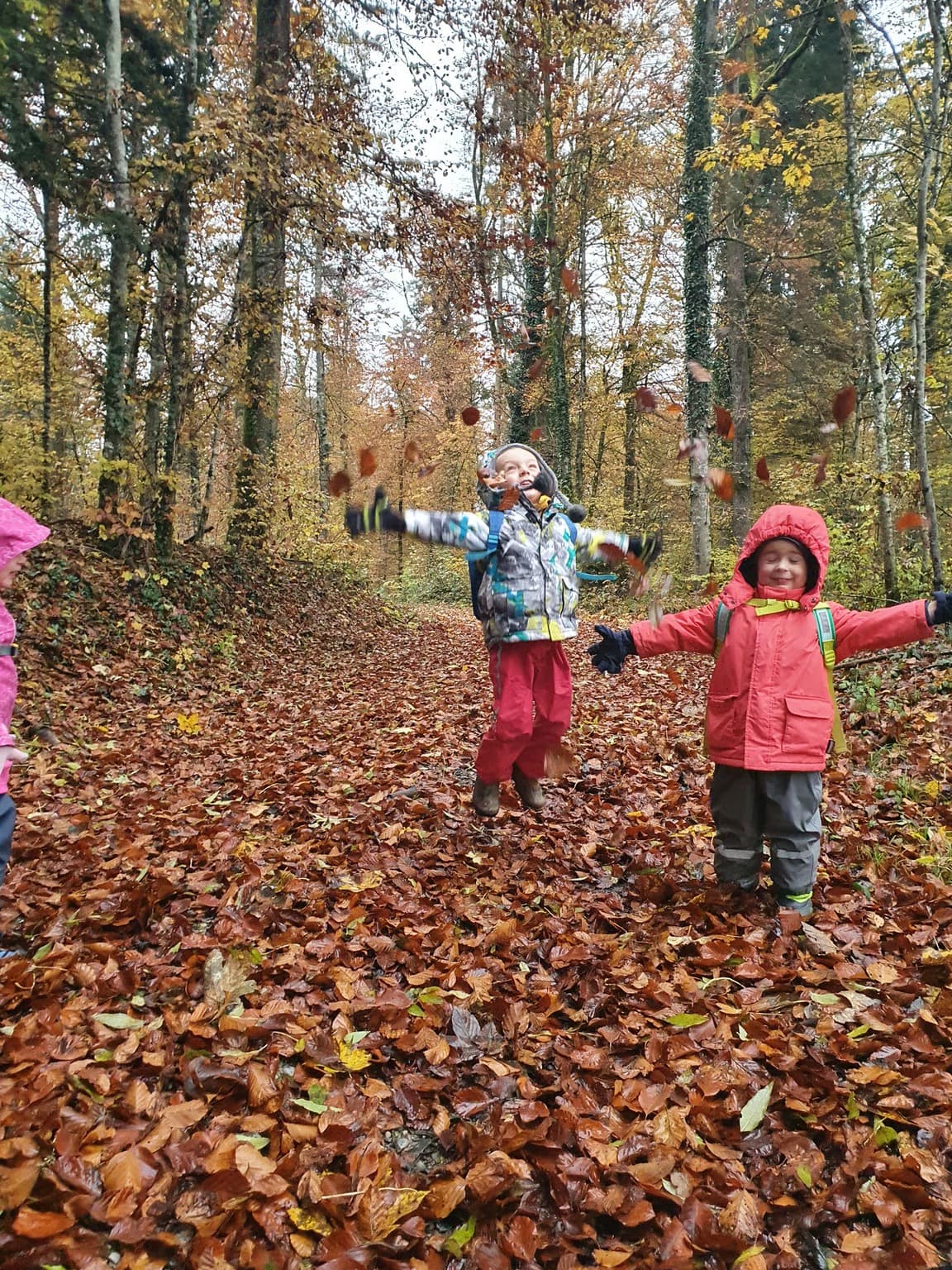 Waldspielgruppe Impression 32