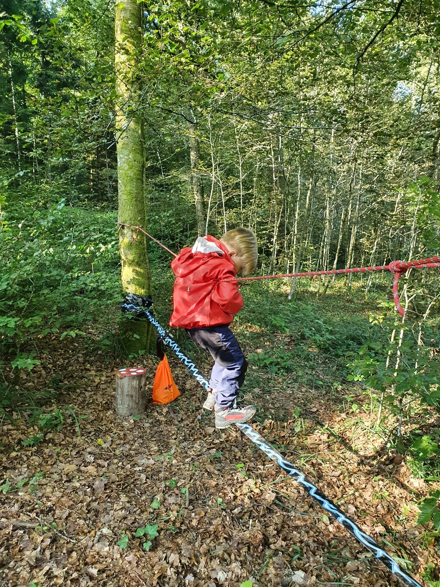 Waldspielgruppe Impression 36