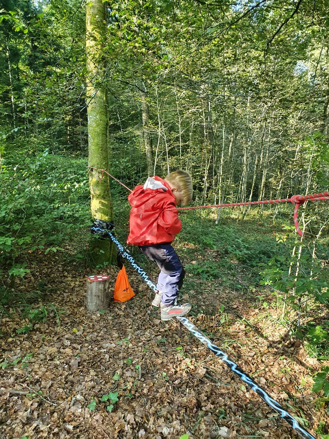 Waldspielgruppe Impression 37