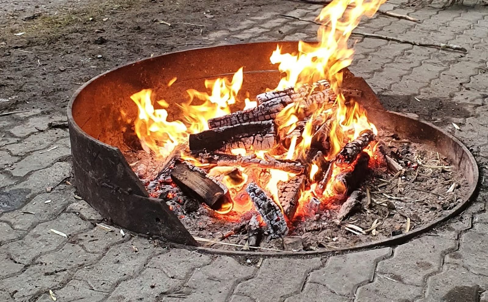 Waldspielgruppe Impression 39