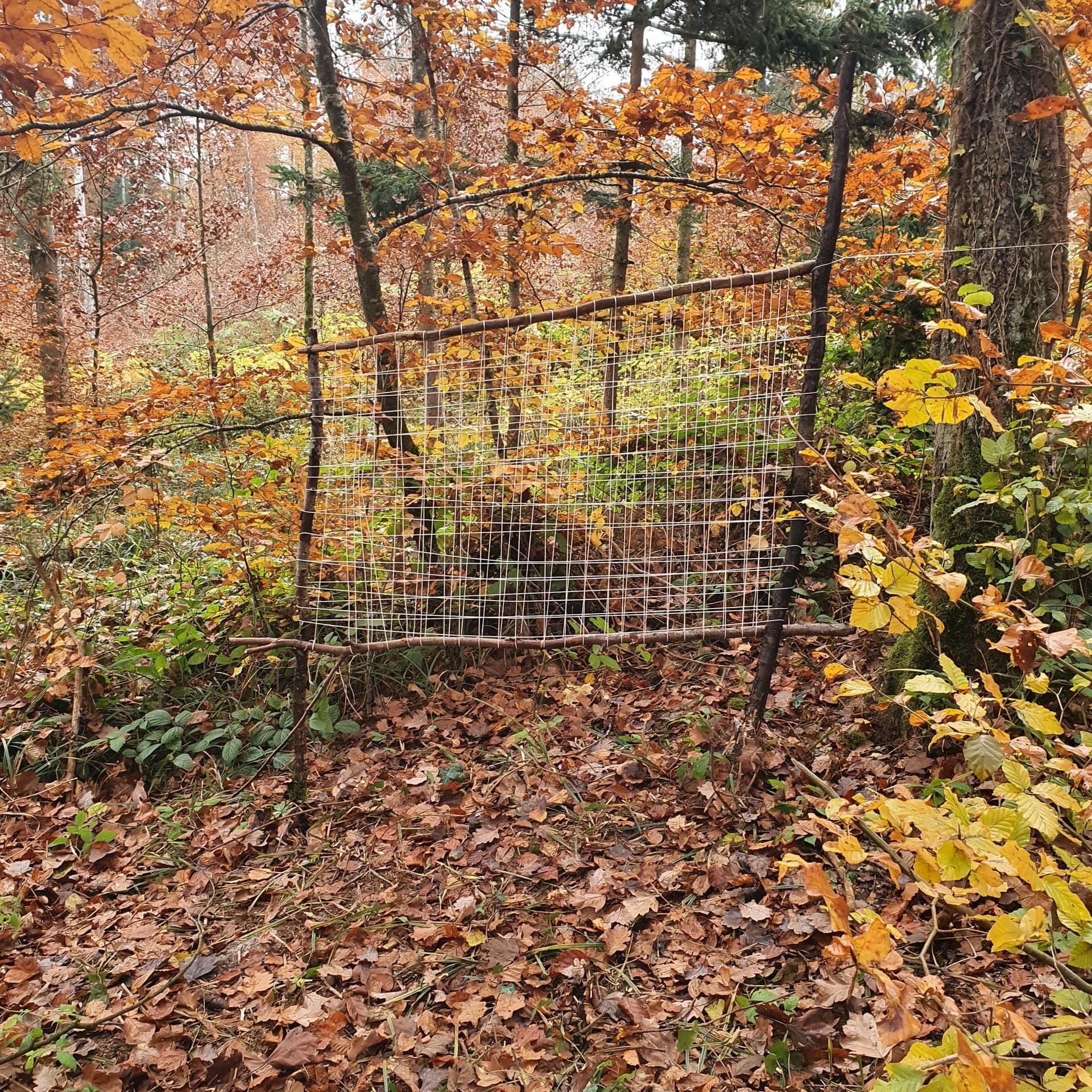 Waldspielgruppe Impression 42