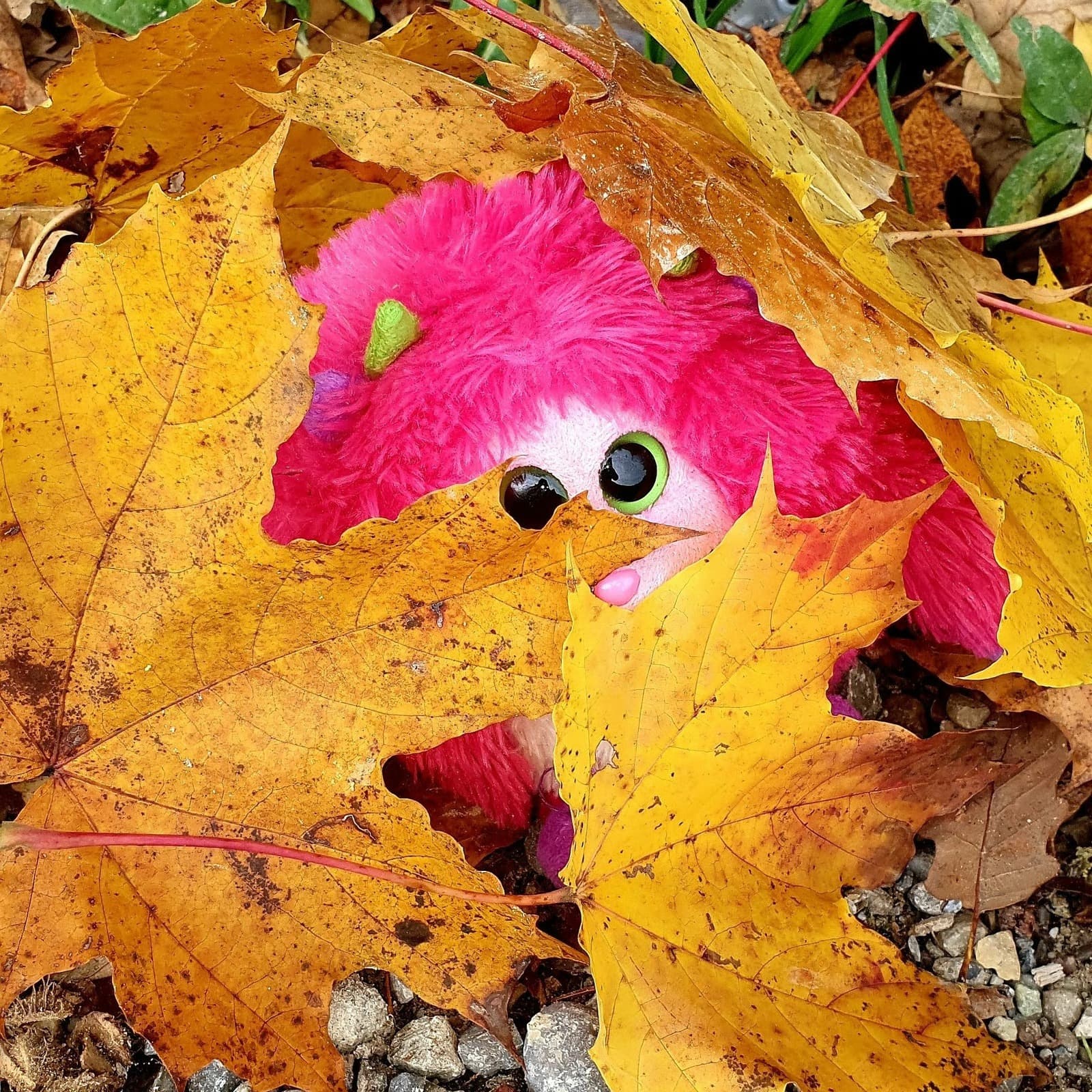 Waldspielgruppe Impression 43